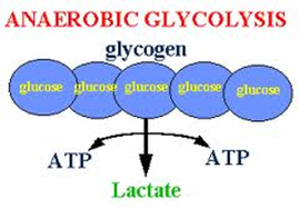 anaerobic glycolysis Advanced Interval Sequencing™ <br> Part II: Threshold  (Make Your Intervals MORE Effective)