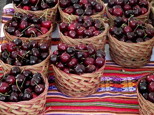 cherries anti inflammatory fruit cherries anti inflammatory fruit