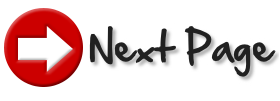 Next Page