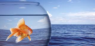 mindset ocean