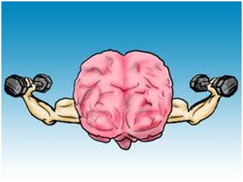 mind-muscle1